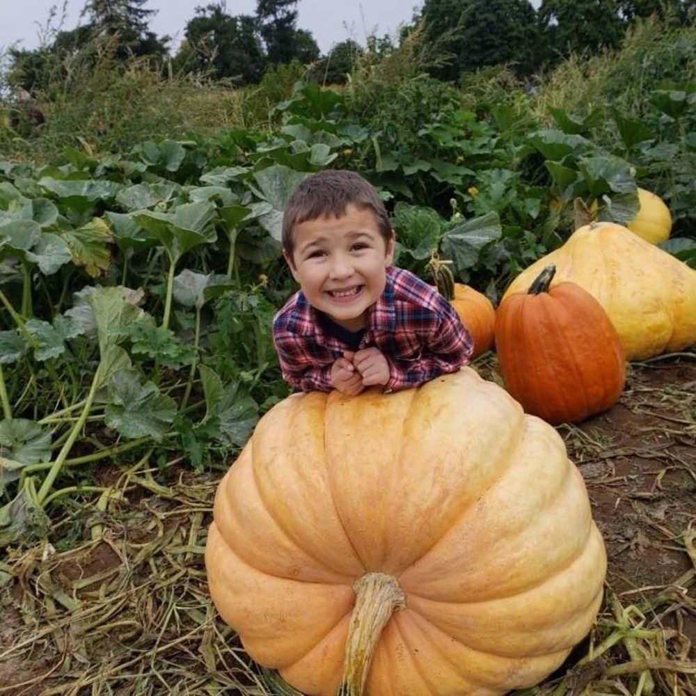 Meet your Posher, Tracy